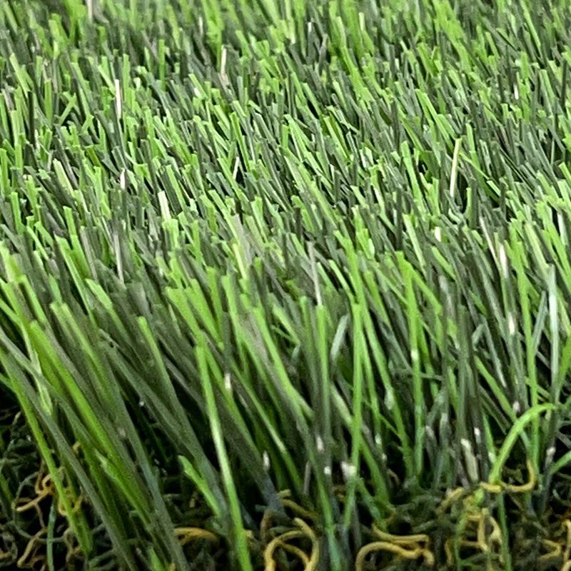 65hs