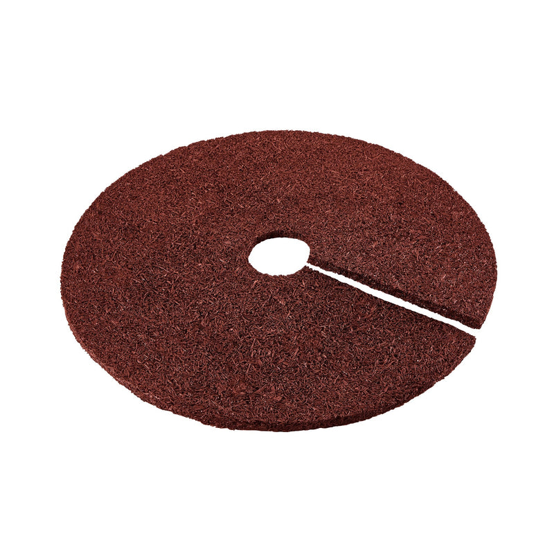 24" Rubber Tree Ring