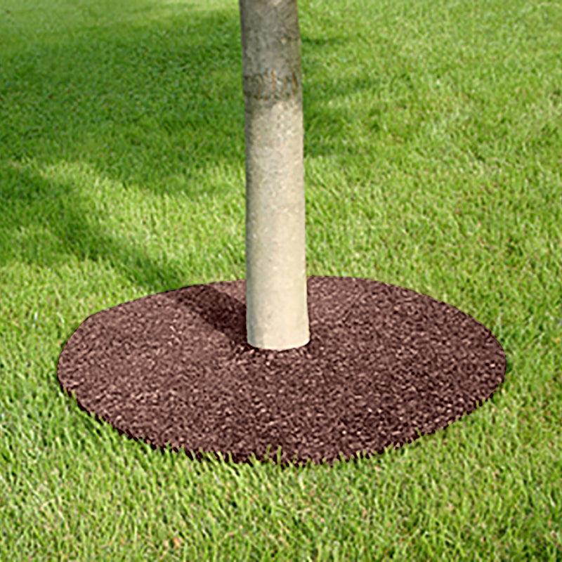 24" Rubber Tree Ring