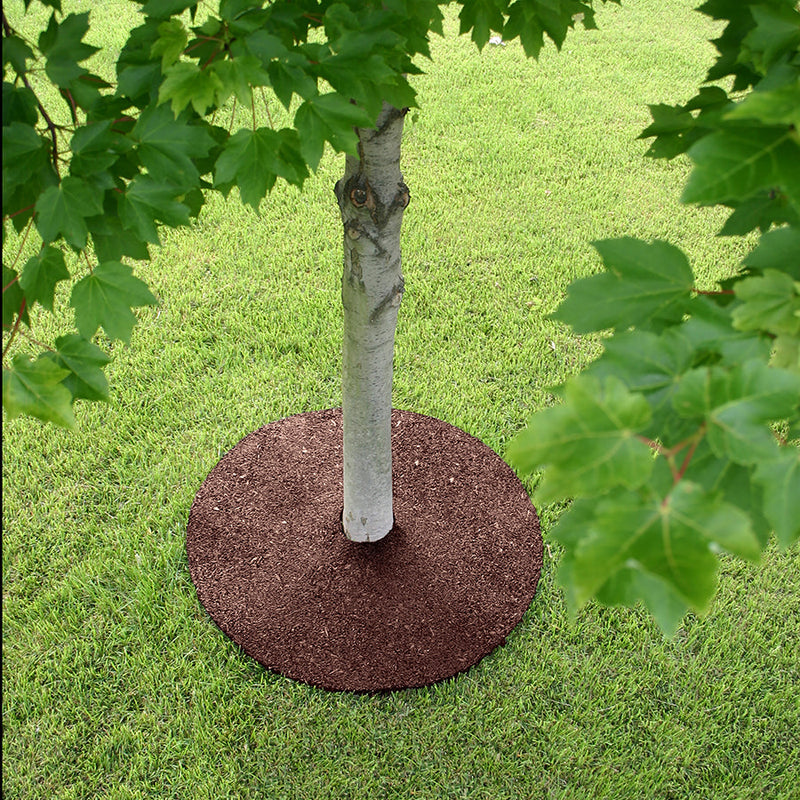 24" Rubber Tree Ring