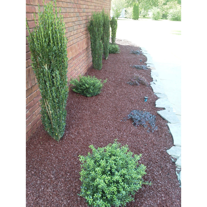 Landscape Rubber Mulch