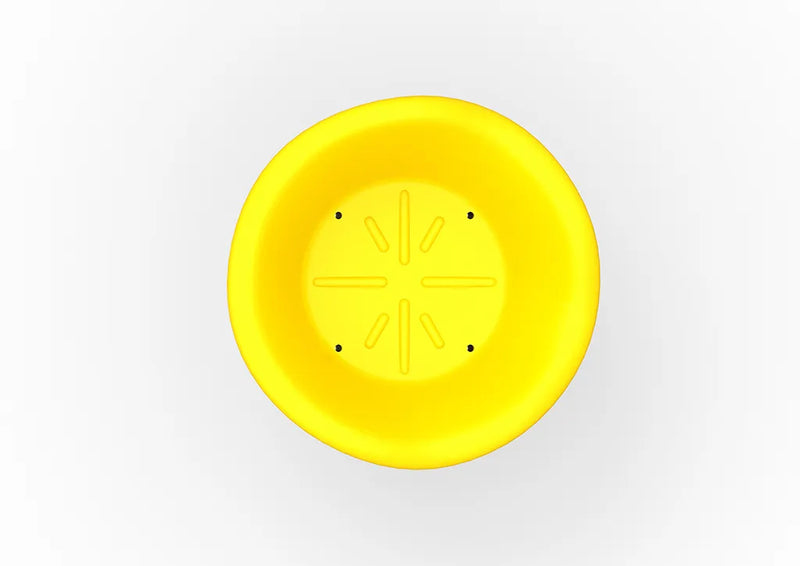 Lotus Spinner | Spinning Playground Equipment