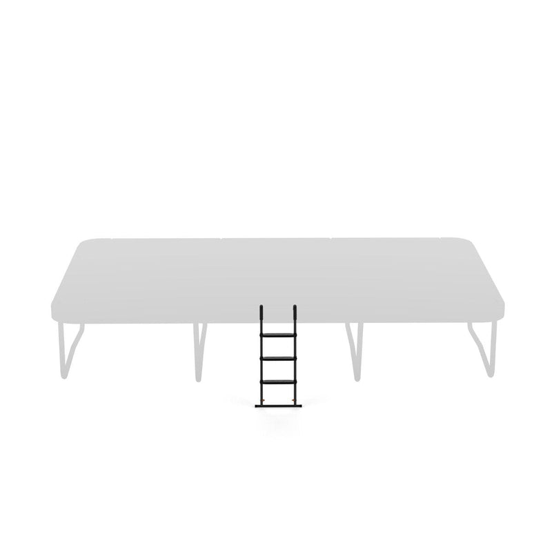 Trampoline Ladder
